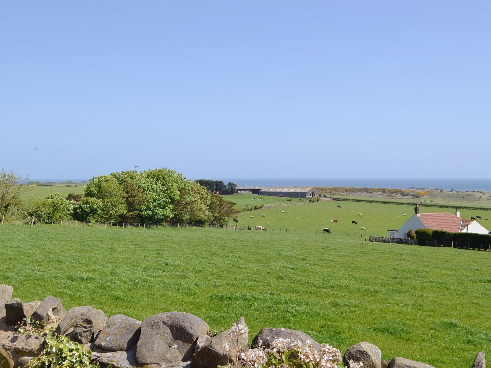 Eider Cottage Embleton (Northumberland) Exterior foto